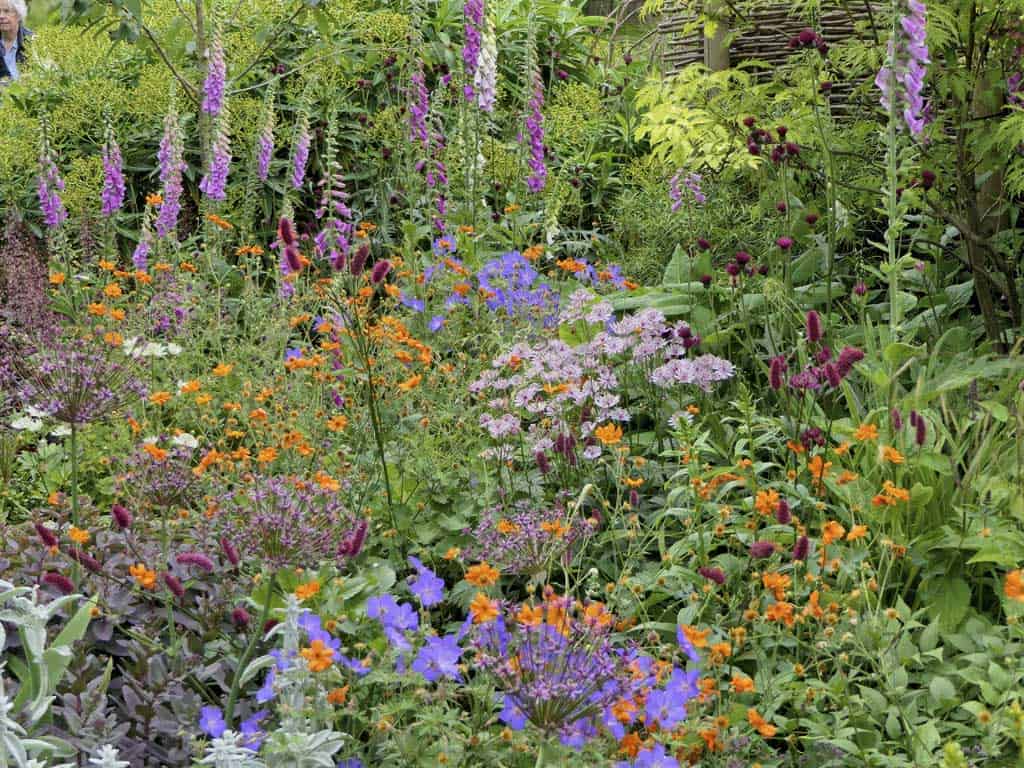 Herbaceous Planting